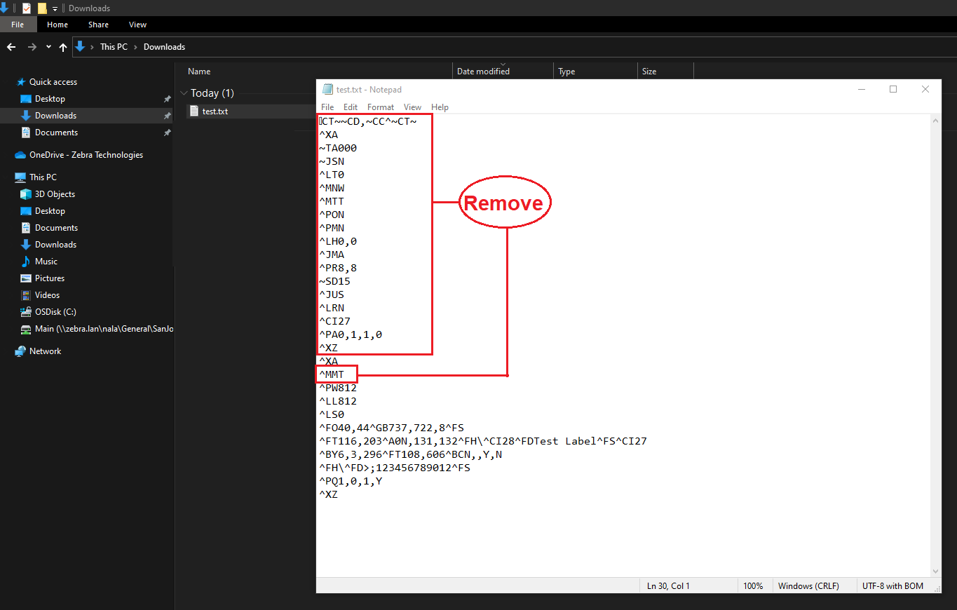ZebraDesigner 3 (開発者) を使用して生のZPLコーディングでテスト