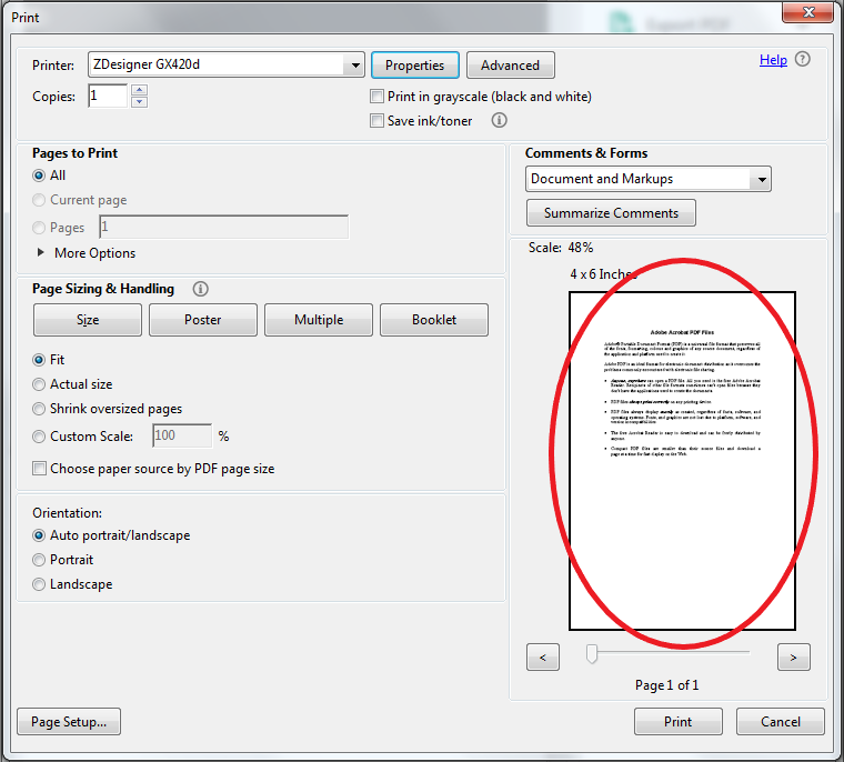 Printing a pdf file using the zdesigner driver